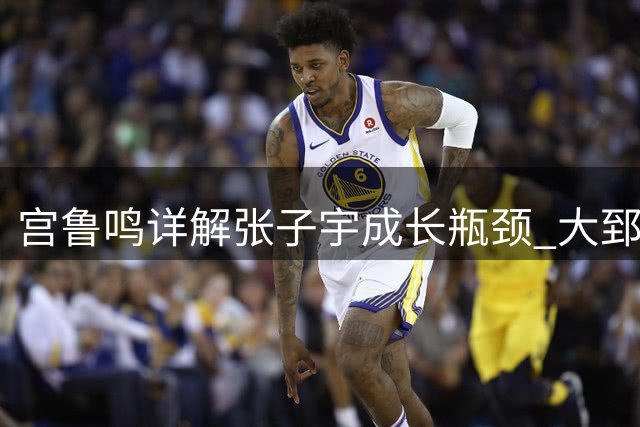 宫鲁鸣详解张子宇成长瓶颈 大郅特训难破女篮内线困局